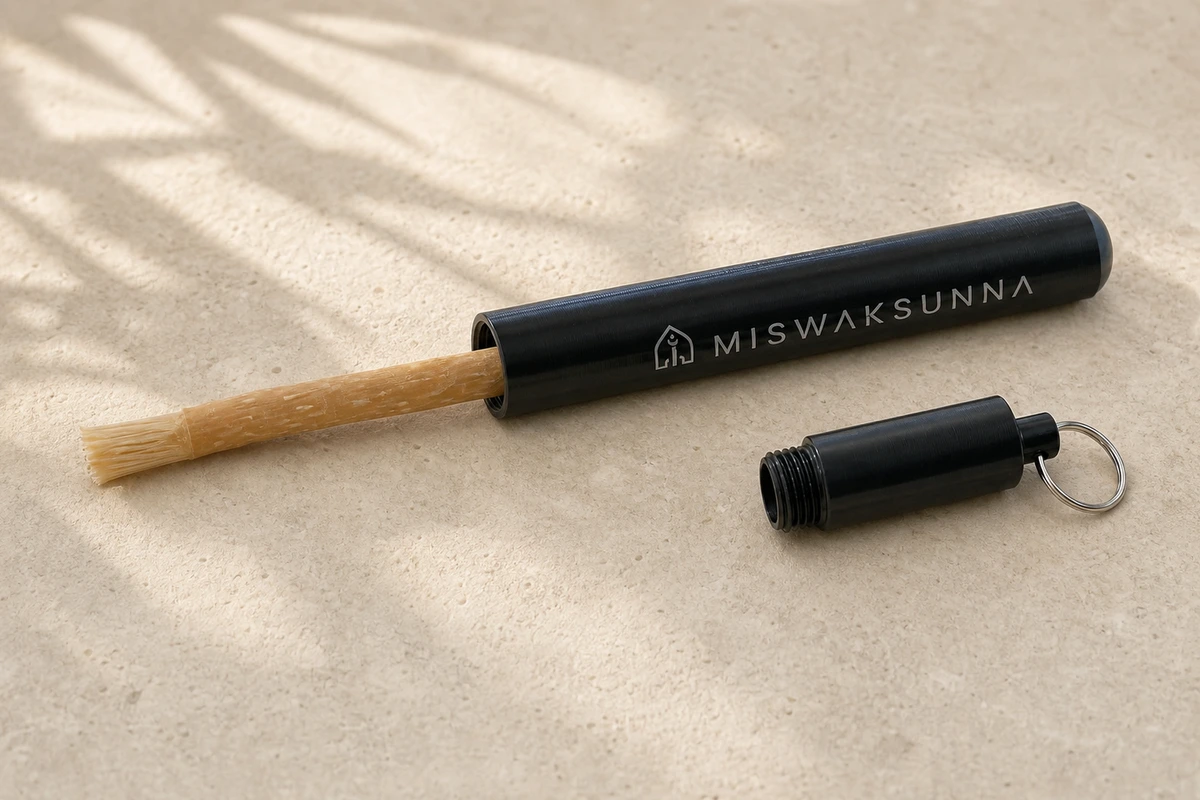 Miswak naturel partiellement inséré dans le porte-miswak MiswakSunna ouvert